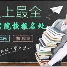 成都金牌思維 專業教育咨詢服務，點亮智慧成長之路